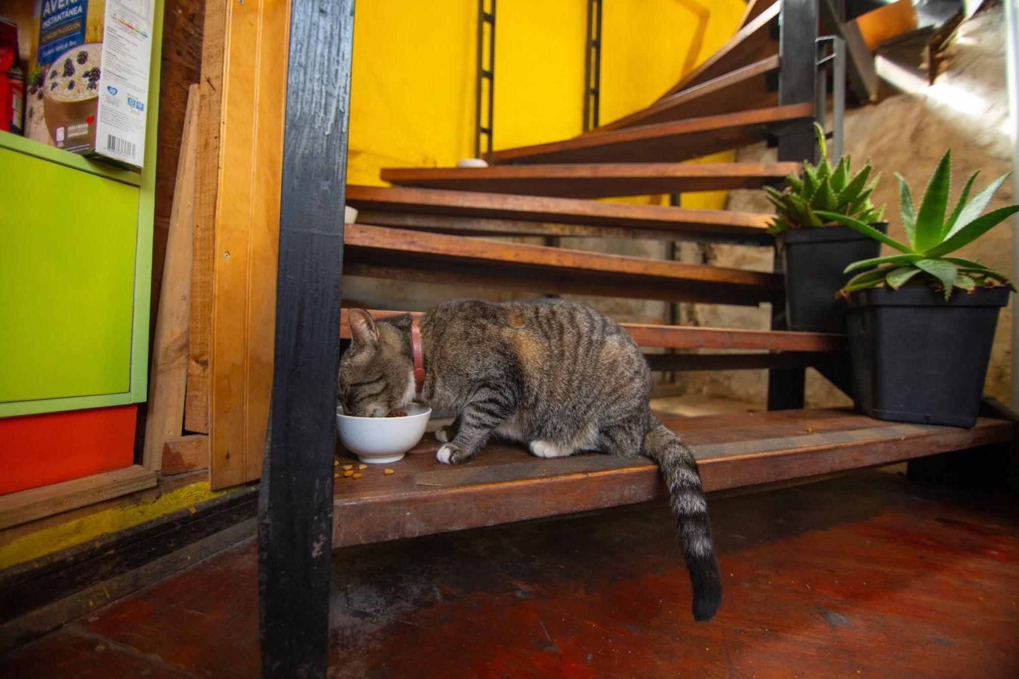 La Casa Del Puerto, Hostal Cultural, Cerro Alegre Valparaíso Eksteriør bilde