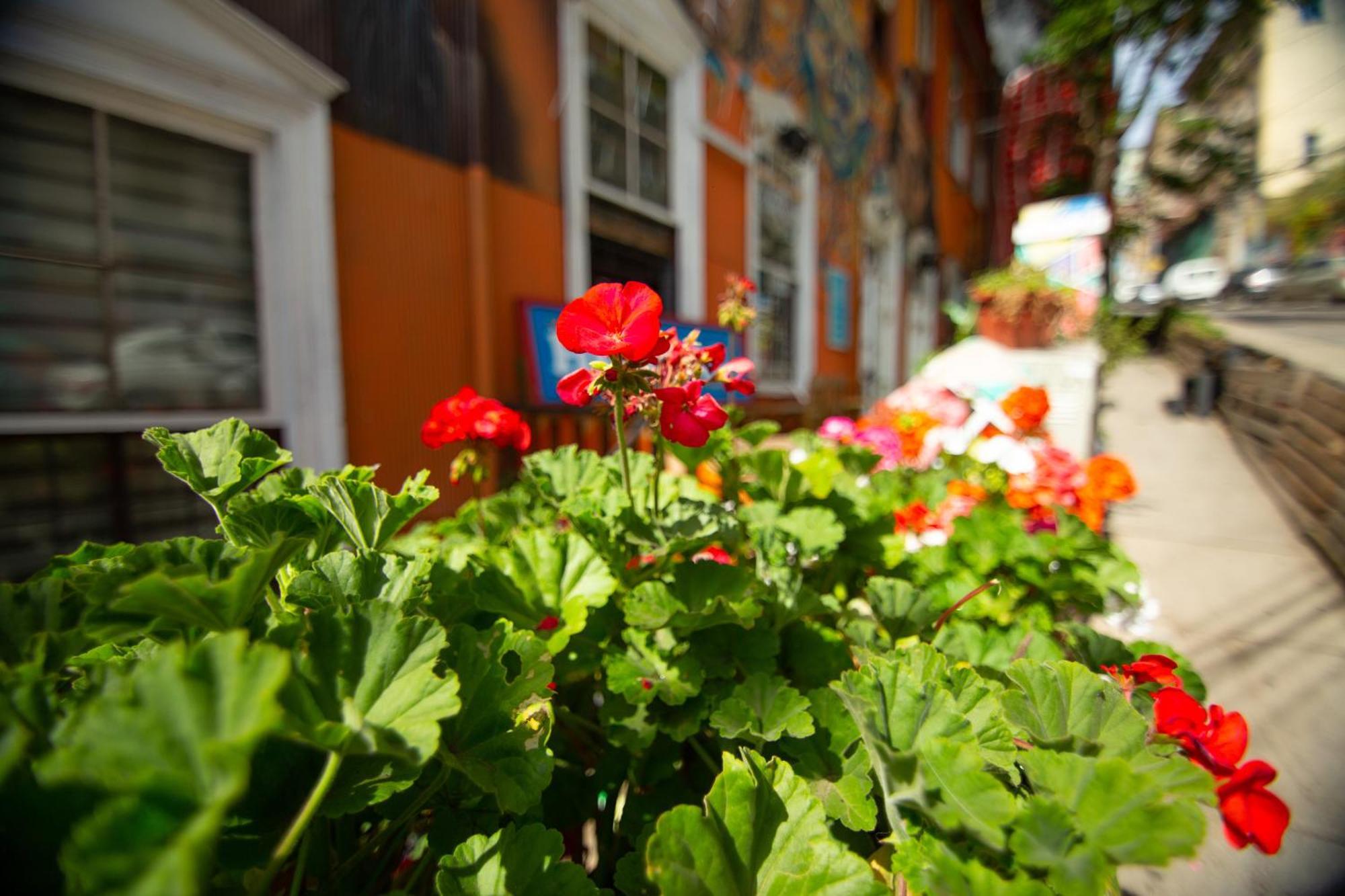 La Casa Del Puerto, Hostal Cultural, Cerro Alegre Valparaíso Eksteriør bilde