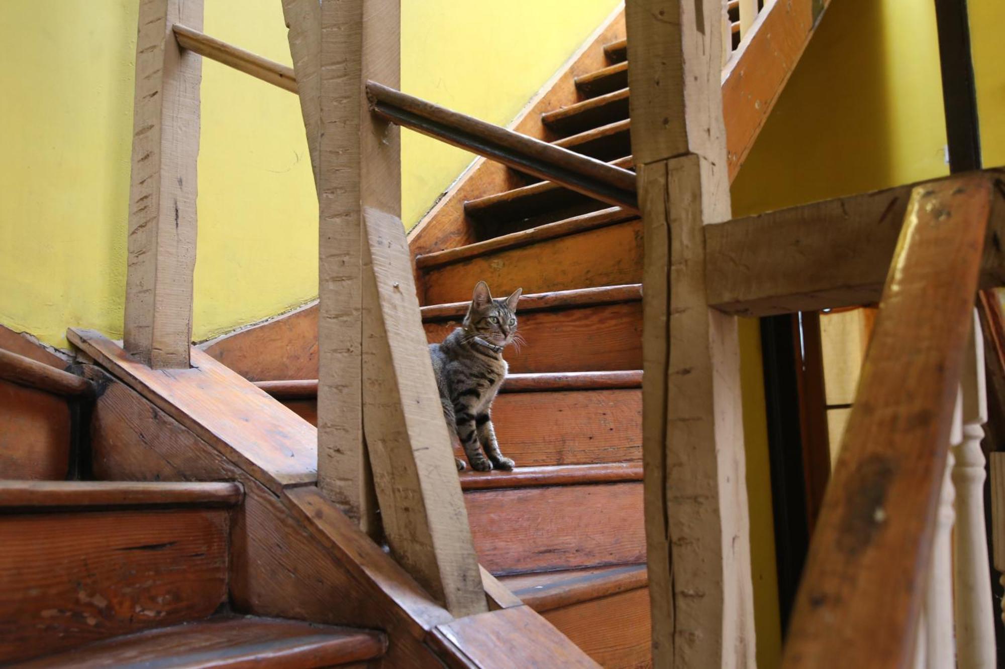 La Casa Del Puerto, Hostal Cultural, Cerro Alegre Valparaíso Eksteriør bilde