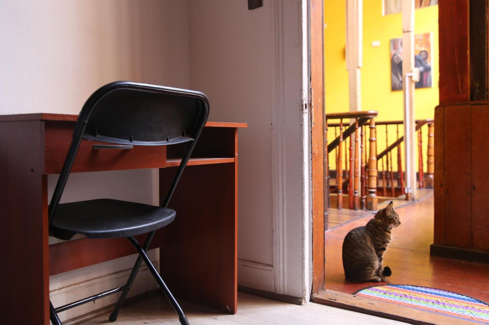 La Casa Del Puerto, Hostal Cultural, Cerro Alegre Valparaíso Eksteriør bilde